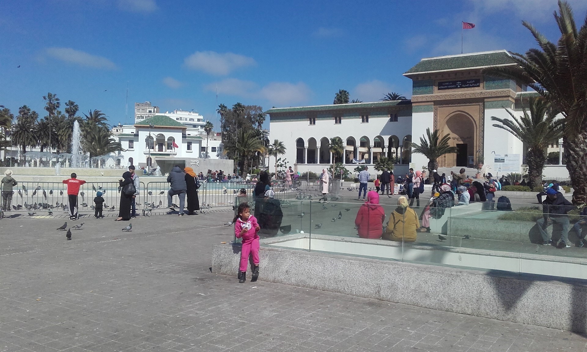 20190412_160630.jpg